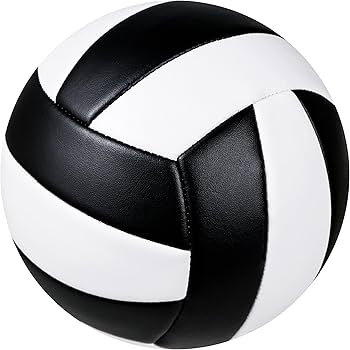 VOLLEYBALLS